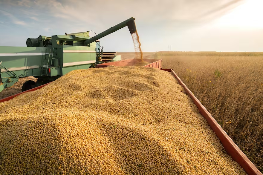 Europa: la plataforma de soja y carne libre de deforestación rindió un exigente examen